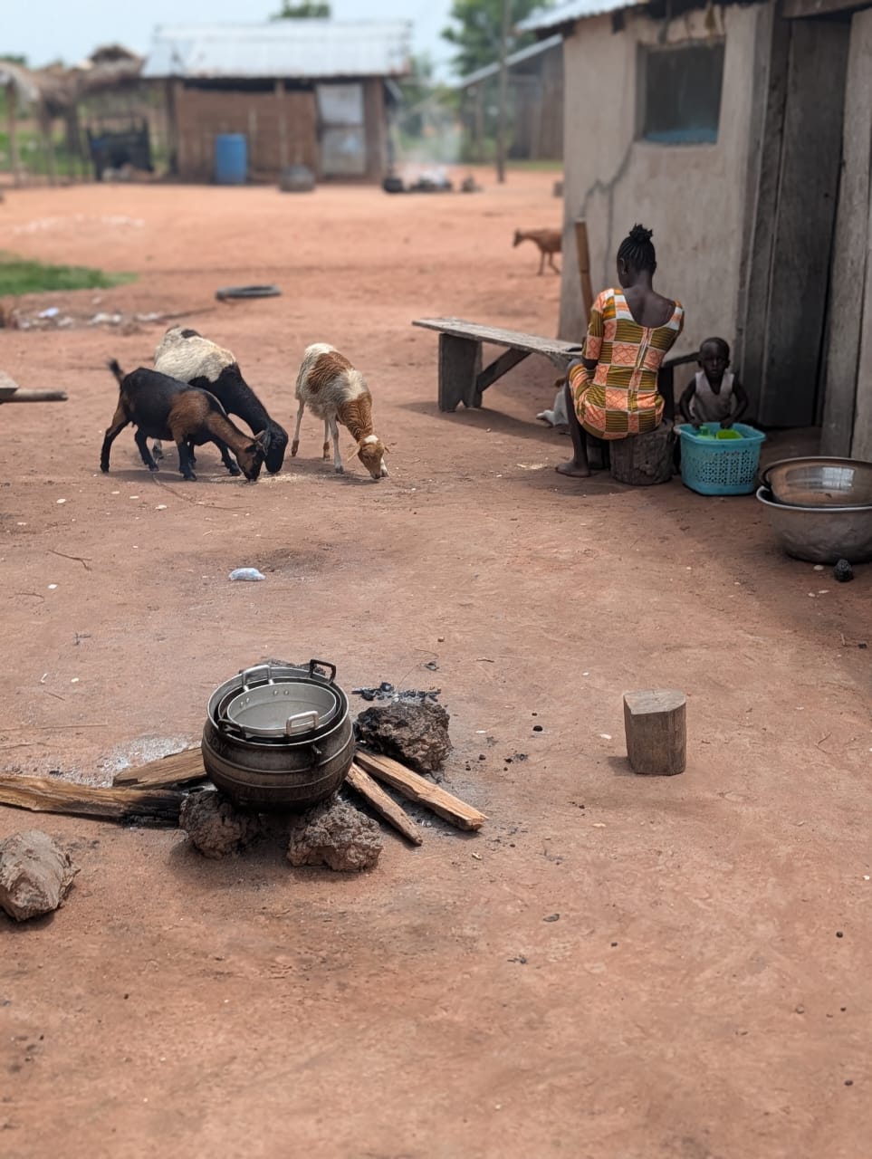 Sustainable LIvelihoods & Food Systems